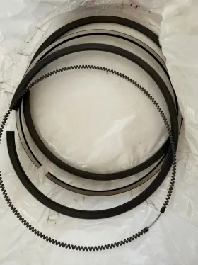 119593-22351 Yanmar Piston Ring Set Bp