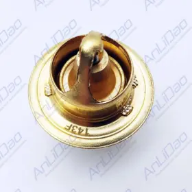 18-3669 Aftermarket Thermostat Kit 143 Fit Johnson Evinrude 60 65 70 75 Hp 396987 382385