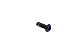 250000578 Aftermarket Torx Truss Screw Nos
