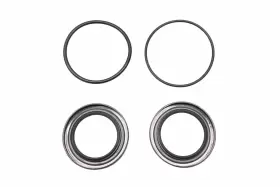 26-76868a1 Aqua Power 1024 Seal Kit #2