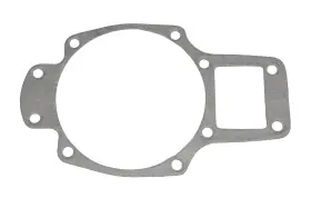 18-2663 Aqua Power 1768 Lower Gearcase Gasket Nos #2