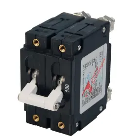Blue Sea Systems 632085072582 7258 C-series Double Pole Circuit Breaker - 100a