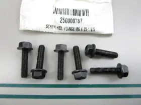 250000787 Can-am New Oem Lot Of 6 Screw 0810