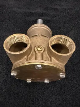 25-14801 Cummins Jabsco Pump