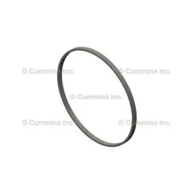 3912473 Cummins Seal Ring / Washer For