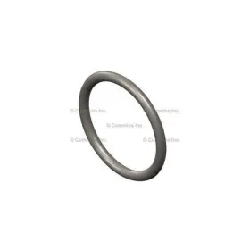 3918952 Cummins Seal Ring / Washer For