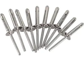 113008p10 Dometic Usa - Rivet Oscar 10 Pk