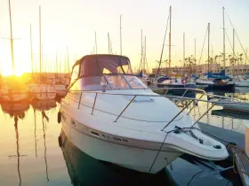 Scr-2400 Maxum 1997 2400 Scr Cabin Cruiser Bayliner Family