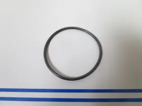 25-f74305 Mercury New Oem Quicksilver O-ring 0810