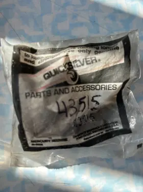 43515 Mercury Mercury-quicksilver Hinge P#43515