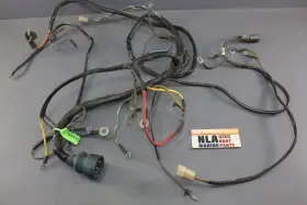 0982282 Omc 0982882 0983243 0983246 3.8l 4.3l 5.0 5.7l Gm Engine Wiring Harness Stringer