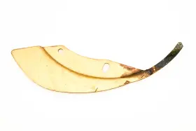 303771 Omc Throttle Cam Plate #2