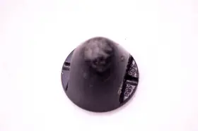 305469 Omc Propeller Nut