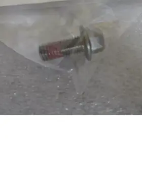 354818 Omc Johnson Evinrude Qty 2 Screw Nos Omc67
