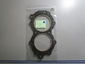 0305206 Omc Johnson Evinrude 305206 New Oem 0810 Gasket