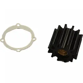 Rp061018 Pleasurecraft Marine New Oem Crank Diven Water Pump Impeller With Gasket