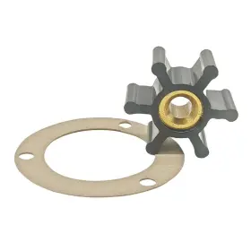131-0267 Quickmariner 131-0160 Impeller And Gasket For Onan Pump 131-0165 P2563 3 Hole