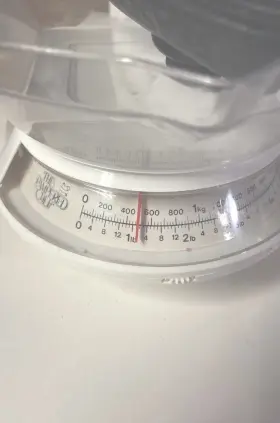 50073756 Seasense The Pampered Chef Slimline Scale