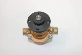 K75b-01 Sherwood Brass Pump With Rubber Impeller Part Number #2