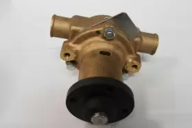 K75b-01 Sherwood Brass Pump With Rubber Impeller Part Number #3