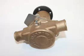 K75b-01 Sherwood Brass Pump With Rubber Impeller Part Number