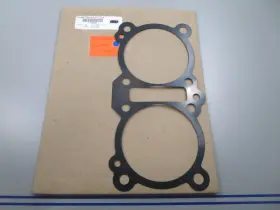 T1160940 Triumph New Oem 0810 Gasket