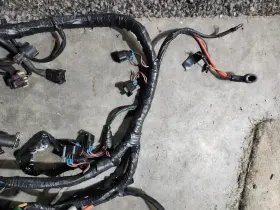 3862546 Volvo Penta 5.7gxi V8 Engine Wire Harness # Freshwater #3
