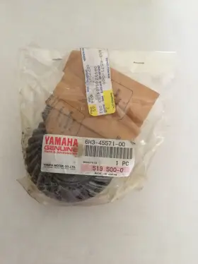 6h3-45571-00 Yamaha Oem Gear