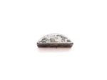 Omc Johnson Evinrude Flywheel Key 0307480 Oem. Fixed Price $13.99.