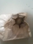 New Sierra Marine Products 18-3051 Impeller For Johnson/evinrude 395289. Fixed Price $18.20.