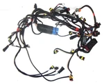 Evinrude Etec Engine Wiring Harness Assy 0587009 115-130HP 2009-2012 Aa Ab Af. Fixed Price $81.00.