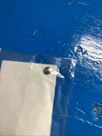 New Johnson Evinrude Roller 0329881. Fixed Price $15.12.