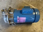 Goulds Water Xylem Stainless Steel Centrifugal Pump 1ST1E4C4 Npe 1X1.25X6-2P-PM. Fixed Price $850.00.