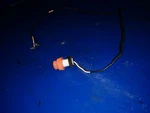 Engine Stop Switch 6G8-82550-10-00 Yamaha Mariner 9.9HP 15HP?. Fixed Price $14.04.