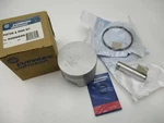 5006695 Omc Johnson Evinrude 40-70 Hp Outboard Piston & Ring Kit .030. Fixed Price $130.29.