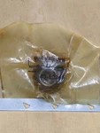 A2 Mercury Quicksilver 43-60245 Pinion Gear. Fixed Price $25.00.