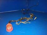 Cable 0386328 Johnson Evinrude 135HP. Fixed Price $24.55.