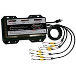 Dual Pro PS3 Battery Charger Bank 45 Amps. Fixed Price $542.99.