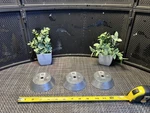 3 Qty! Bulk Camp Jet Disc Zinc Anode 102185 New. Fixed Price $50.00.