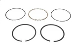 Piston Rings Sierra 18-3937. Fixed Price $143.53.