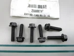 New Oem (lot Of 6) 250000787 Can-am Screw 0810. Fixed Price $18.00.