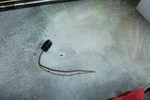 Used Johnson Evinrude Temperature Switch 585184. Fixed Price $36.00.