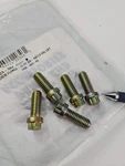 Genuine Arctic Cat Flange Screw 0623-382 (5 For $20) Nos Oem AC81. Fixed Price $20.00.