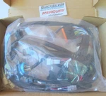 Brand New Mercury Mariner Wiring Harness 30HP F25 F30 Efi 4 Stroke Outboard. Fixed Price $431.96.