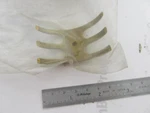 3858086 Volvo Omc Cobra Stern Drive 4MM Water Pump Impeller Cam. Fixed Price $84.99.