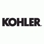 Kohler 13-S Reg Part 2517613S Harness, Fuse. Fixed Price $41.70.