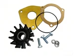 Sherwood Pump Minor Repair Kit 23979 End Wear Plate 12856 G15 G21 G30-2B G9901. Fixed Price $37.99.