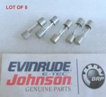 T30 Evinrude Johnson Omc 0982019 Fuse Lot Of 5 Oem New Factory Boat Parts. Fixed Price $19.98.