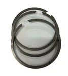 Johnson Evinrude .020 Piston Ring Set ( Of ) 382826. Fixed Price $12.95.