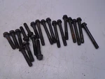 E3A Omc 5.8L 351 Volvo Penta Cylinder Head Bolt Set. Fixed Price $29.95.